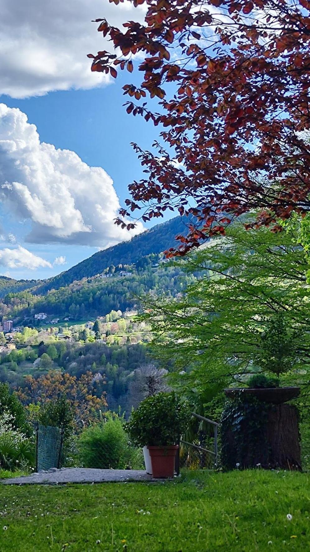 Villa Alma, Lake Como Bed&Breathe San Fedele Intelvi Bagian luar foto